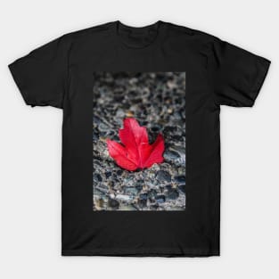 Red leaf T-Shirt